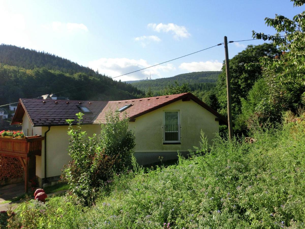 Cottage Near A Ski Resort Winterstein Exterior photo